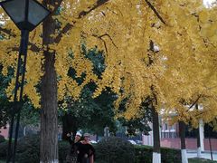 -四川大学(望江校区)