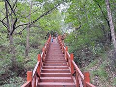 -大岭沟猕猴桃谷风景区