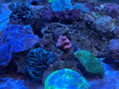 -鹿儿岛水族馆