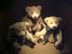 -济州岛泰迪熊博物馆