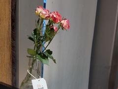 -果仁·意大利餐厅(财富广场店)