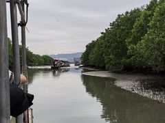 -盐洲岛