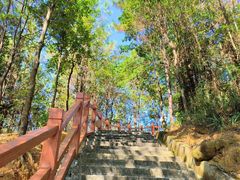 -广州白江湖森林公园