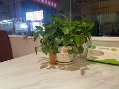 -培万河间驴火•驴肉火锅(东平店)