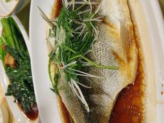 清蒸海鲈鱼-御同亨酒楼·喜宴