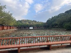 -李小龙乐园(顺德均安店)