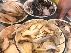 -杨记山珍鸡煲菌汤锅