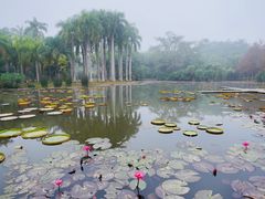 -中国科学院西双版纳热带植物园