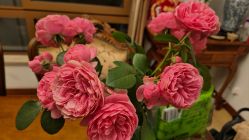 -芳朵美容养生SPA