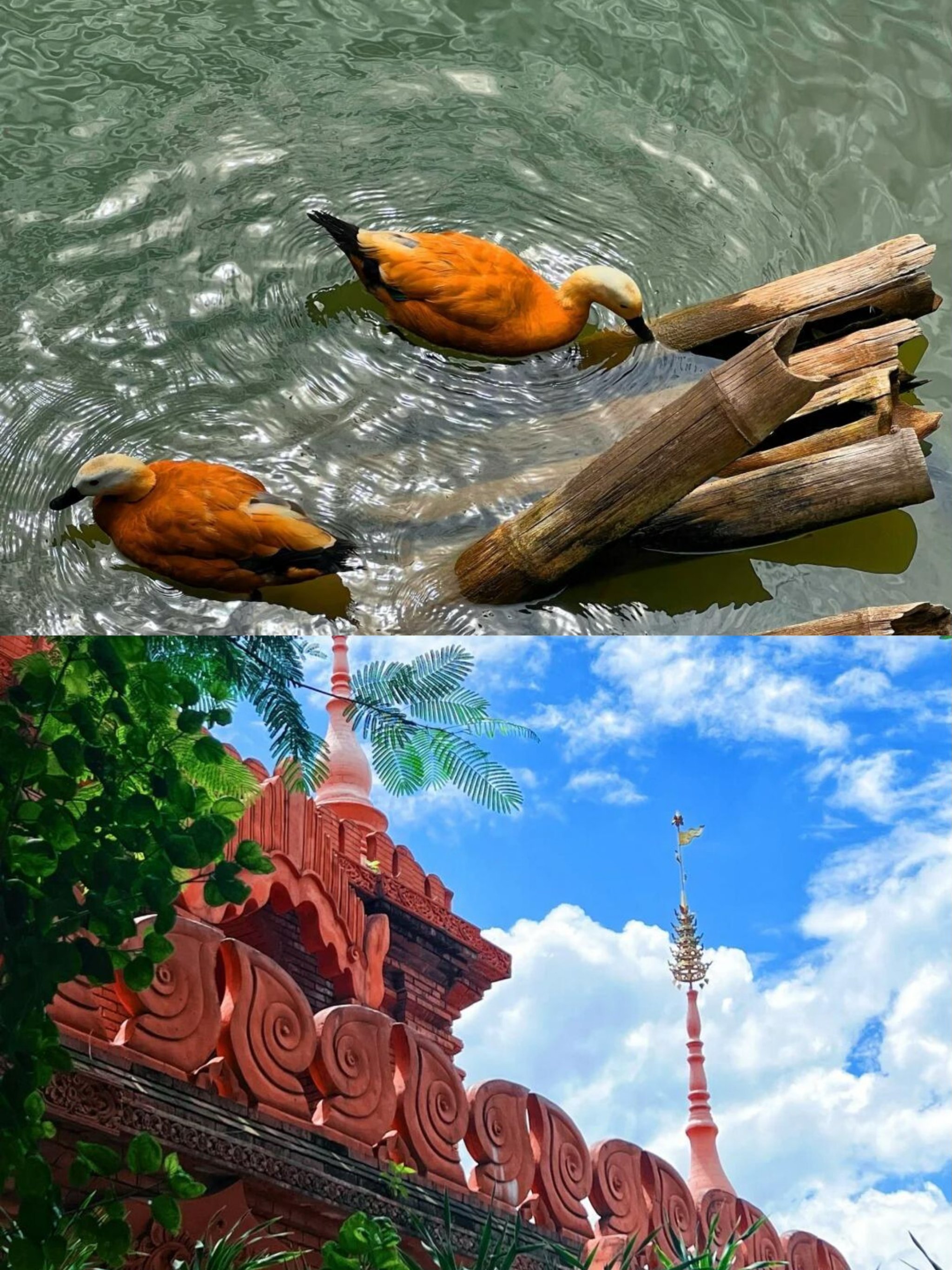 https://qcloud.dpfile.com/pc/NSJn3bCMs_VMzC4vPSBlRR7CXAbApMrNNzC-L5d_UGtmlW0dkLcW1DgXgRk7-KjjY0q73sB2DyQcgmKUxZFQtw.jpg
