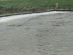 -洨河生态公园