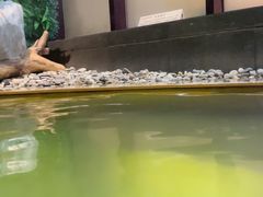-长白山聚龙火山温泉