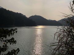 -广州市流溪河国家森林公园