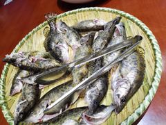 -苗岭侗寨(金阳店)