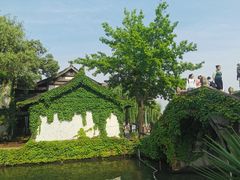 -鲁镇