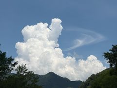 -牛背梁国家森林公园
