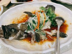 清蒸多宝鱼-北海渔村酒楼·粤菜海鲜点心(新华店)