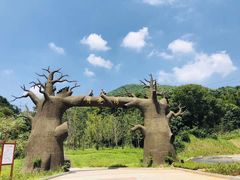 -梅岭月亮湾山体公园