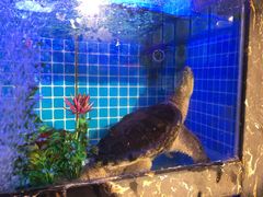 -友强·23年特色海鲜大排档(厦门店)