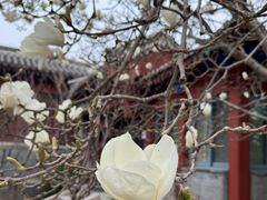 -北京鲁迅博物馆(北京新文化运动纪念馆鲁博馆区)