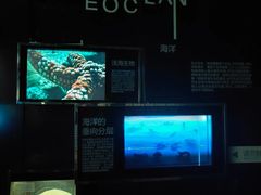 -同济大学四平路校区深海探索馆