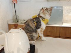 -Cafe on warm(丹霞店)