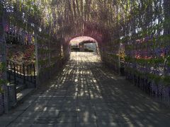 -山乡农家院(海淀区西北旺店)