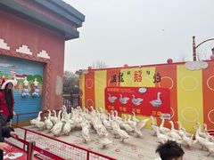 -郑州方特梦幻王国