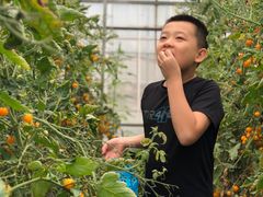 -兴芮温泉度假区