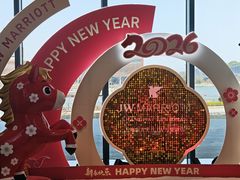 -东方美谷JW万豪酒店·The lounge大堂吧