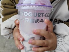 -一只酸奶牛(八一路店)