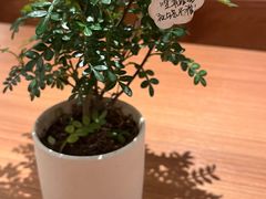 -CURRY YA 熟成咖哩專門店(深圳湾万象城店)
