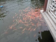 -长春市南湖公园