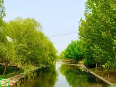 -大望京公园