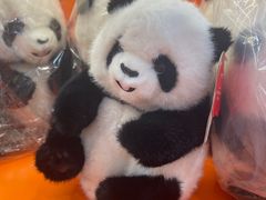 -熊猫邮局(少城店)