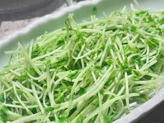 -樽宴酒楼·地道川菜·品质宴请