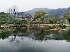 -杭州雅谷泉山庄酒店-餐厅