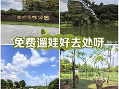 -王借岗森林公园