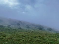 -秦岭风景区