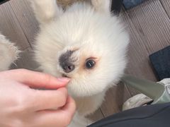 -gaga(深圳南山益田假日广场店)