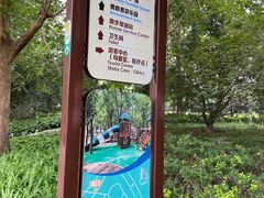 -朝阳公园游乐园