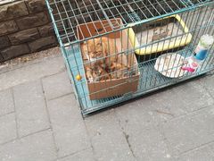 -海派铜锣湾(打浦路店)