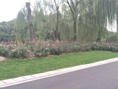 -北京宽沟会议中心