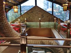 -小龙翻大江文化火锅(宽窄店)