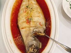 清蒸狮麟鳐鱼-金狮麟·新豫菜(金码大厦店)