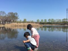 -永定河休闲森林公园