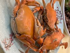 -沙田台山海鲜·酣客酒窖