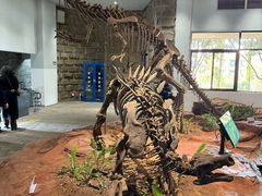 -自贡恐龙博物馆