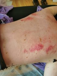 -康乃馨·馨悦佳人(鹭江店)