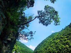 -蝶舞清江·恩施地心谷景区